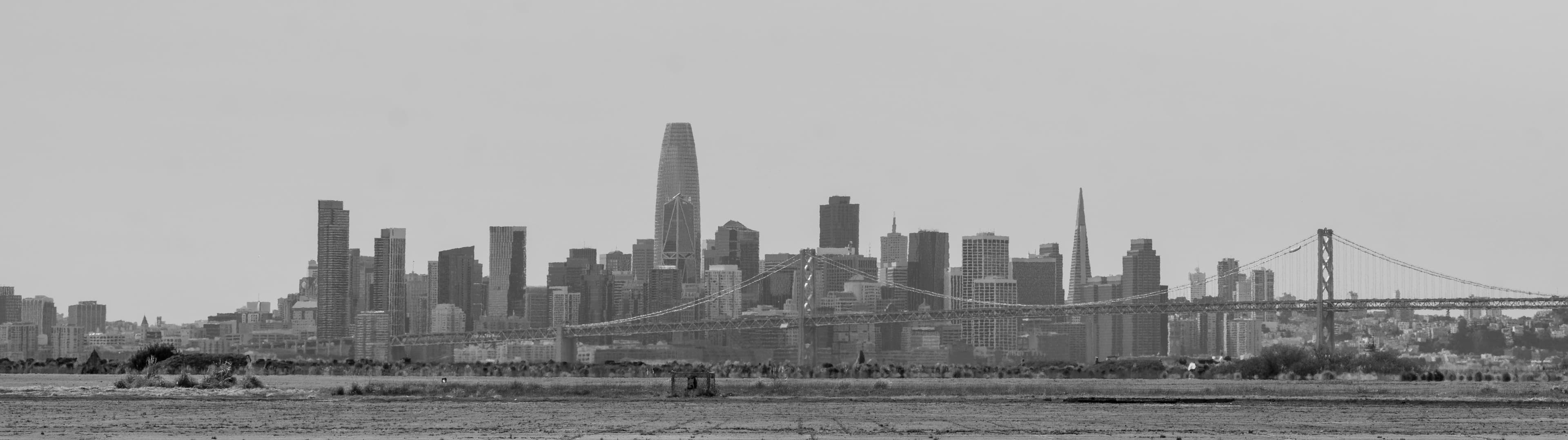 Matt Halvorson Photography banner